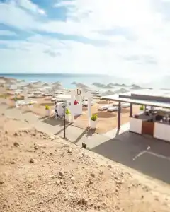 Domina Oasis & Resort - 17
