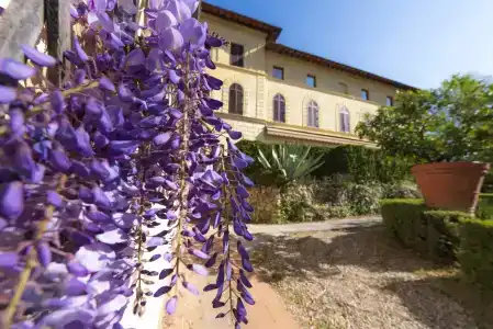 Villa Scacciapensieri Boutique - 0