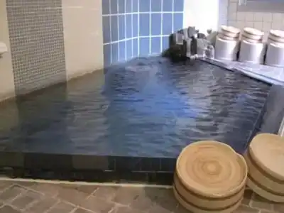 Ryokan Matsuya - 7