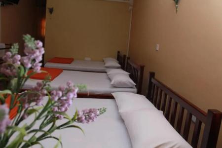 Anura Guest Inn - 15