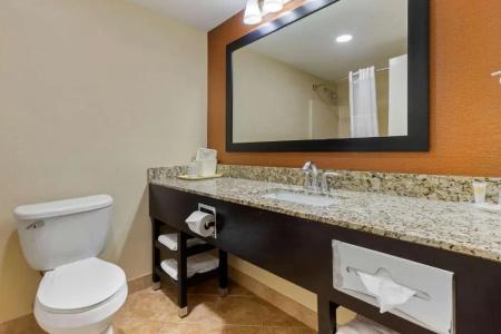 Comfort Inn - 34
