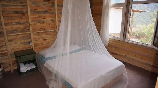 Shiva Camp - 37