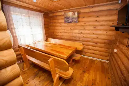 Сосновый бор - 12