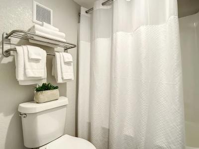 TraveSuites by Wyndham East Gate Orange - 58