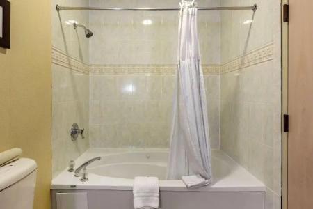 Comfort Suites Walnut Creek - 54