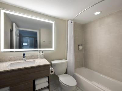Holiday Inn Resort Orlando Suites - Waterpark, An Ihg - 8