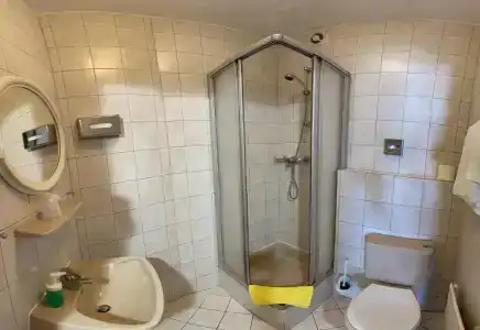 Das Waldhotel - 43