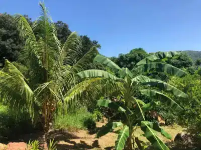 Mirella Villa - 24