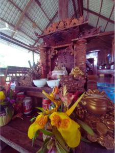 Dolphin Bay - 22