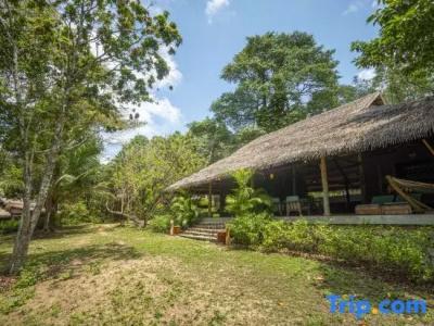 Mango Bay Resort - 201