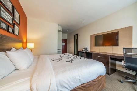 Restwell Inn & Suites I-45 North - 53