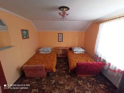 Барвінок - 22