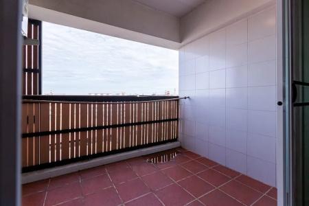 Latin Garden - 166