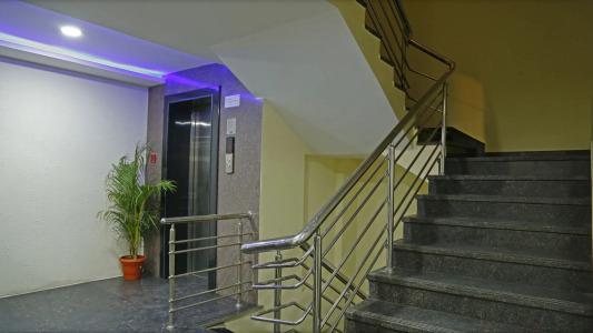 Shoba Elite - 10