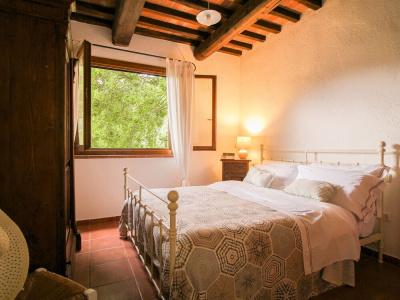 Agriturismo Boschi di Montecalvi - 87