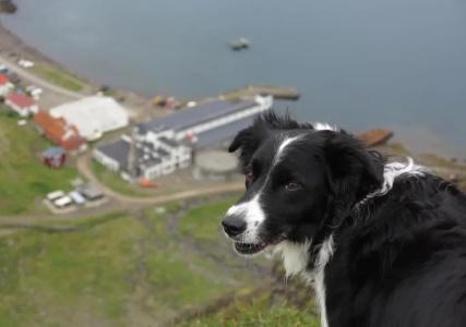Hótel Djúpavík - 28