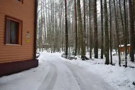 Сандал - 16