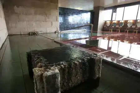 Fujiya - 21