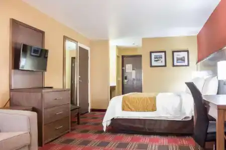 Comfort Inn Lucky Lane - 52