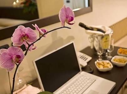 Cavalluccio Marino - 156