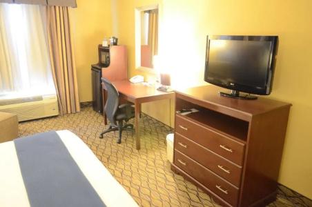 Holiday Inn Express & Suites Houston-Downtown Convention Center, An Ihg - 36