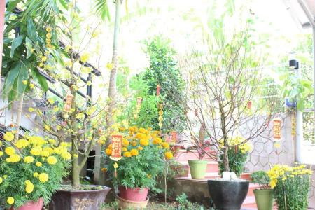 Phu Quoc Village - 13
