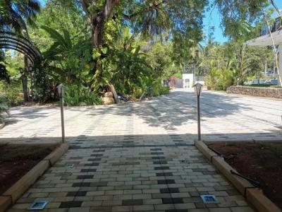 Lucky Beach Resort - 35