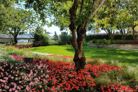 Radisson Blu Vancouver Airport & Marina - 38