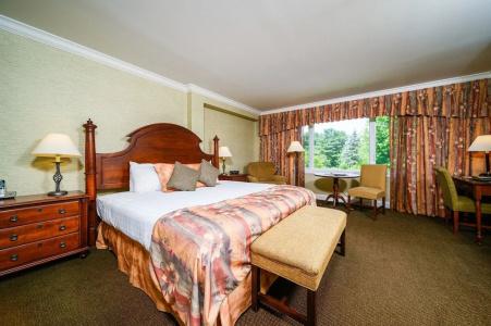 Stoweflake Mountain & Spa - 10