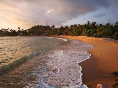 Turtle Bay Beach Resort at Sea Goggle - 20
