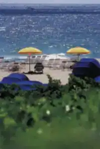Fort Lauderdale Marriott Harbor Beach Resort & Spa - 20