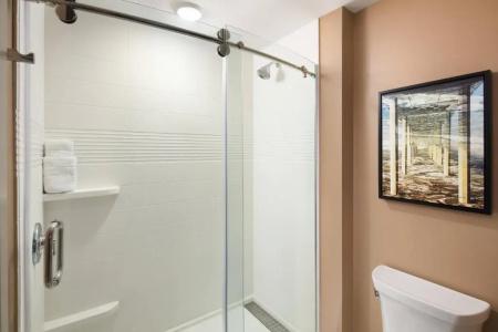TownePlace Suites by Marriott San Diego Downtown - 54