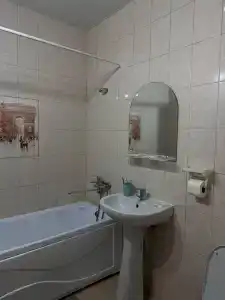 Астера - 28
