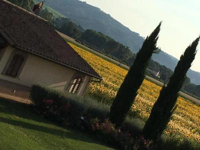 Agriturismo Le Rondini Di Francesco Di Assisi - 44