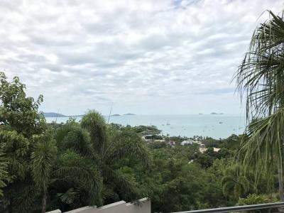 Whitsunday Reflections - 37