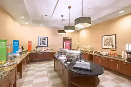 Hampton Inn Houston Downtown - 18