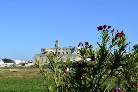 San Giovanni - 62