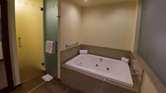 Holiday Inn Mexico City-Plaza Universidad, An Ihg - 133