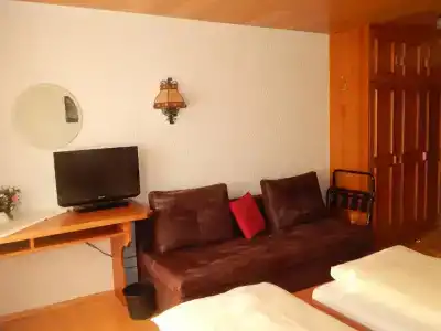Hochschwarzwald-Hof - 37