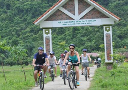 Cat Ba Green - 19
