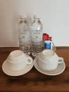 Swiss Heritage Boutique Melaka - 108