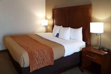 Comfort Inn I-10 West at 51st Ave - 36
