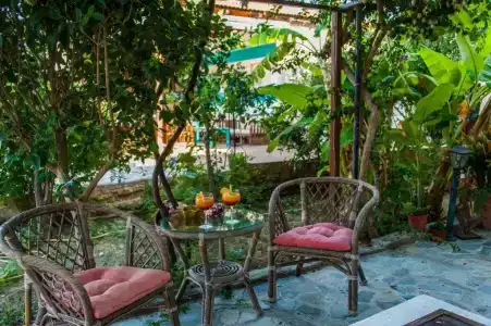 Zante Nest Studios & - 15