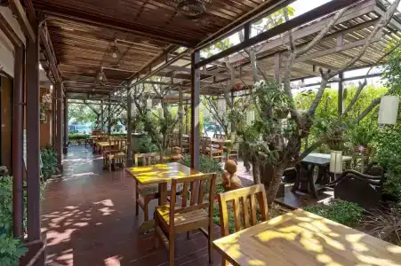 Asias Group (Poonpetch Chiangmai) - 25