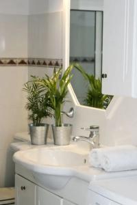 Vithos Seaside Aparthotel - 127