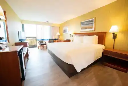 Holiday Inn Express & Suites Virginia Beach Oceanfront, An Ihg - 5