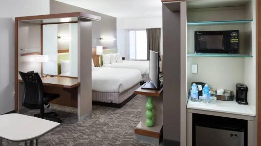 SpringHill Suites by Marriott Orlando at SeaWorld - 57