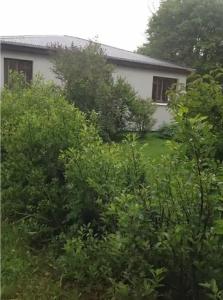 Solheimar Eco-Village - 21