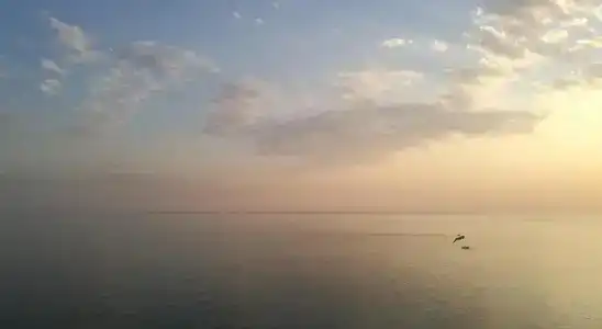 Море - 11