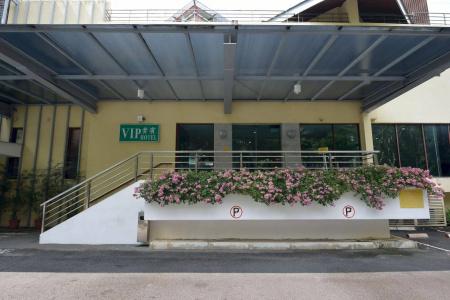 Vip (Sg Clean) - 34